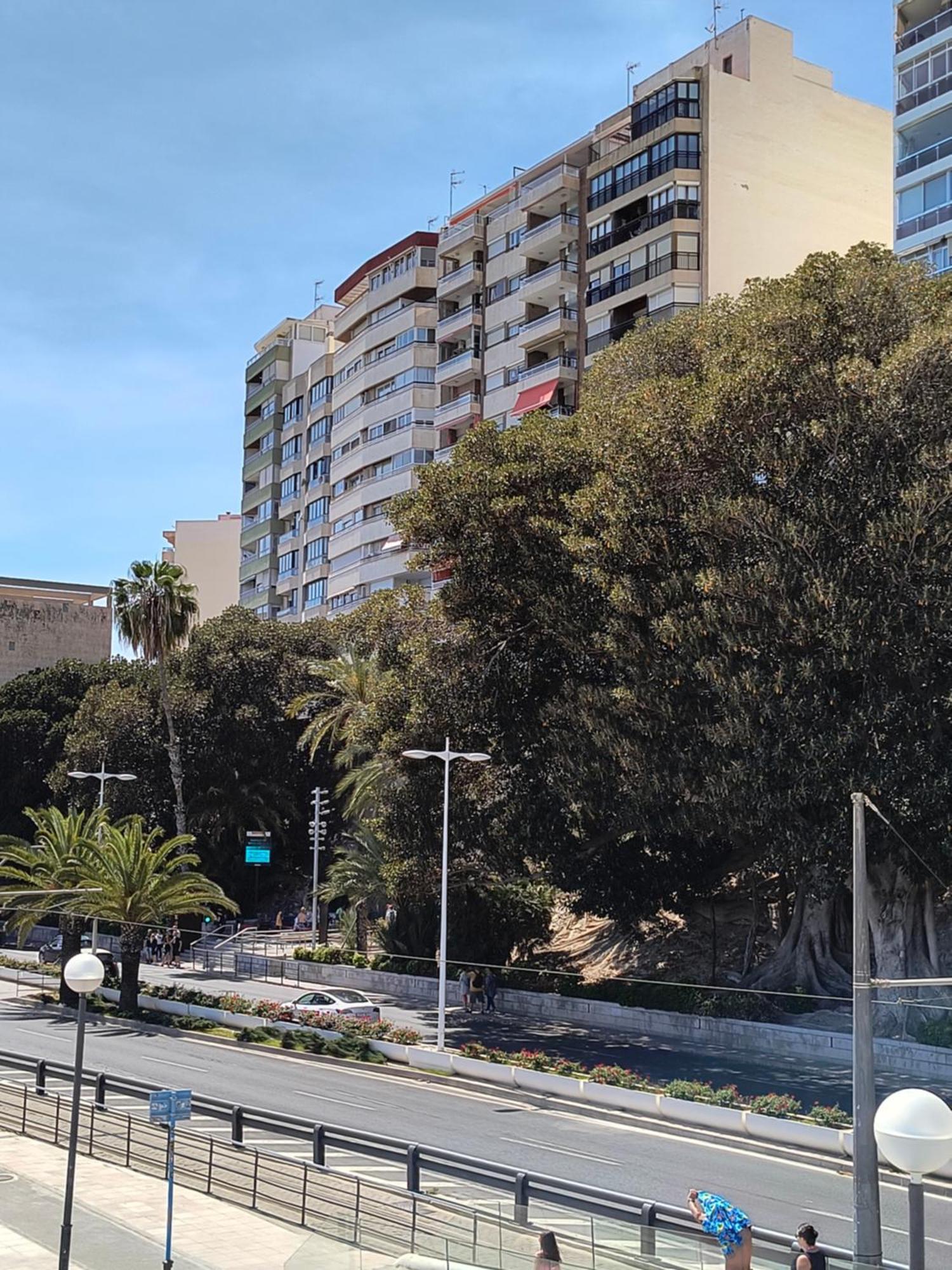 Apartamento Playa Alicante Exterior photo